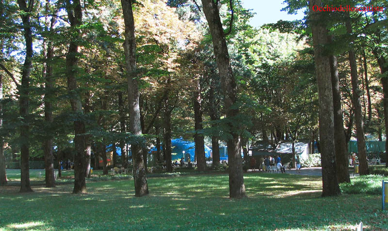  Image name: 09-terme di porretta.jpg 
 width: 800 pixel 
 height: 478 pixel 
 Size: 134547 bytes 
 Click to enlarge 